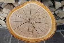 Kirschholz Kirschholzstamm #57 cm hoch Holzstamm Bastelholz Kirschbaum Kirsche 4