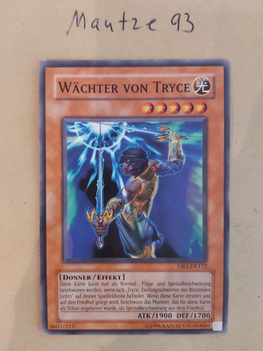 Wächter von tryce - wächter,