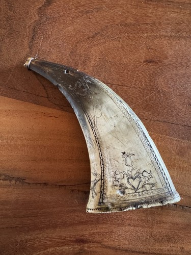 Horn pulver pulverhorn - pulver,