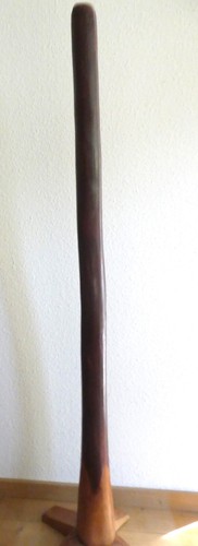 Eukalyptus didgeridoo grundton - eukalyptus,