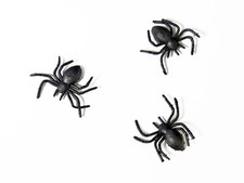 Halloween spinnen party - halloween,