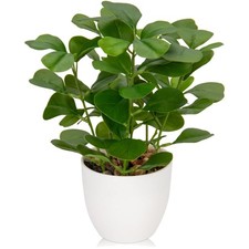 Kunstpflanze Ficus klein