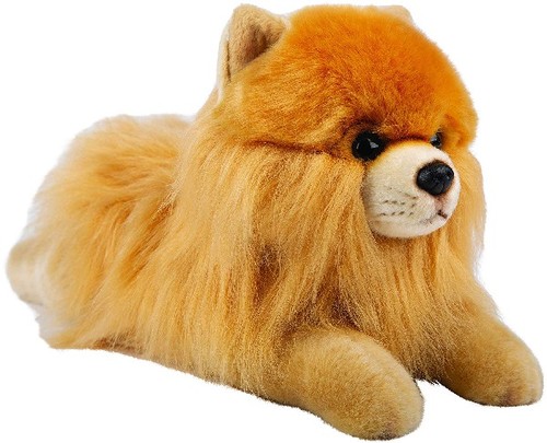 Suki 12144 pomeranian - 12144,