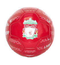 Fan-Fussball FC Liverpool Gr