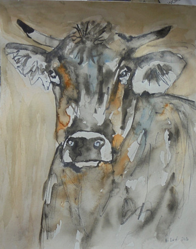 Orig aquarell kuh - "kuh", 24