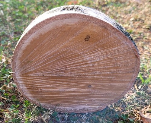 Baumscheibe von der - 🌳,