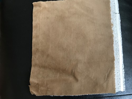 Minibärenstoff/Pfotenstoff