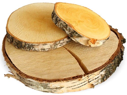 Baumscheiben holzscheiben zum - holzscheiben,