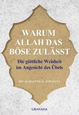 Warum allah das böse zulässt - böse,