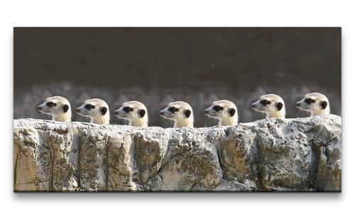 120x60cm leinwandbild - 120x60cm,
