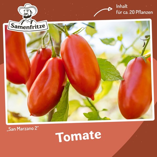 Tomatensamen san marzano - tomatensamen, 2