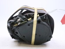 Gurte Für Die Hintere Linke