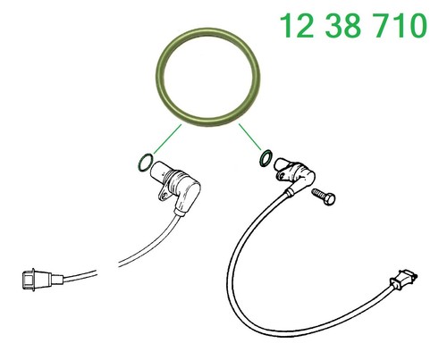 Oring dichtung - oring,