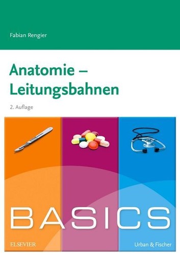 Basics anatomie - basics,