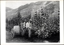 Ak Das Episkop, A 41 Österreich III, Bild 5, Im Weinland,... - 4138379