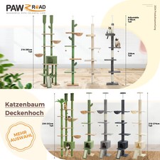 PAWZ Road Katzenbaum