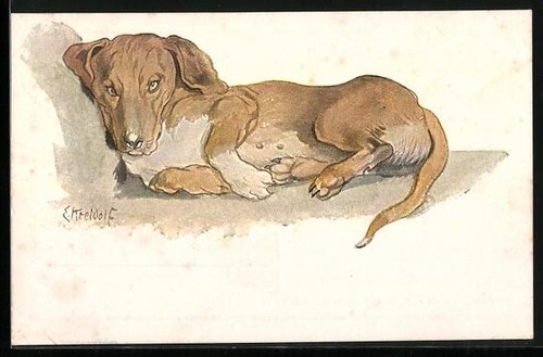 Künstler ernst kreidolf - ernst,