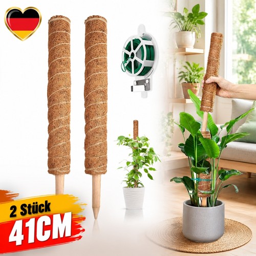 Stück 41cm moosstab für - moosstab,