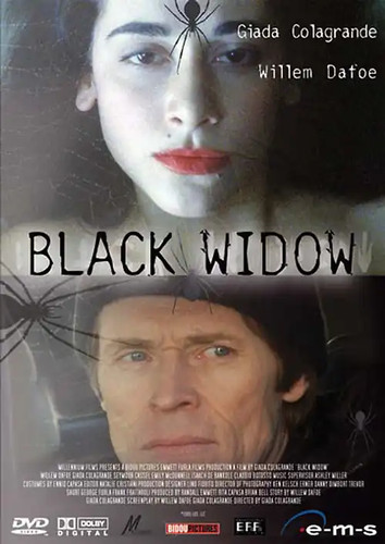 Black widow - black,