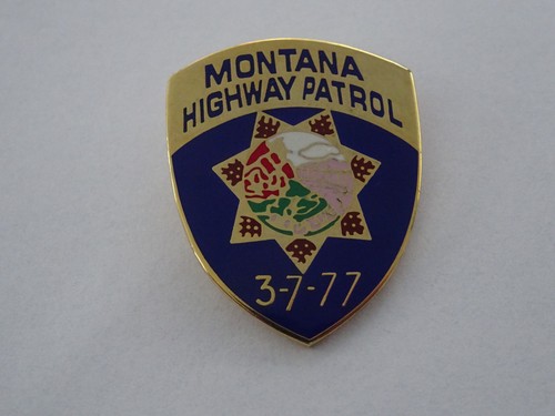 Pin badge abzeichen crest - badge,