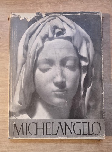Michelangelo buonarroti die - michelangelo,
