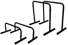 Barren Dipstation Dip Station