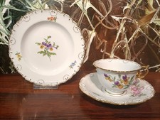 MEISSEN Muschelrand , bunte