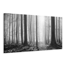 WALD LANDSCHAFT NATUR