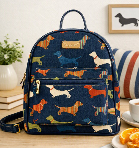 Signare dackel hund hunde - hund,