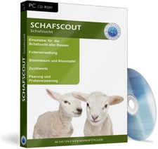 Schafe,Schafherde,Schafzucht