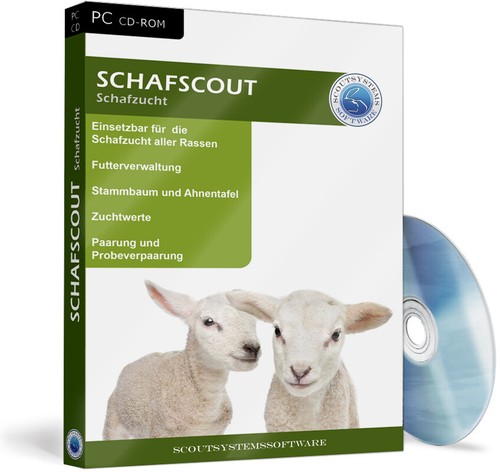Schafe,Schafherde,Schafzucht