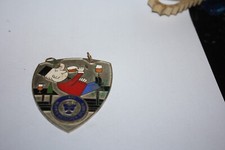 Vitrine - Karnevalsorden