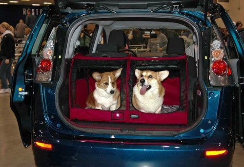Car shelter - car, go