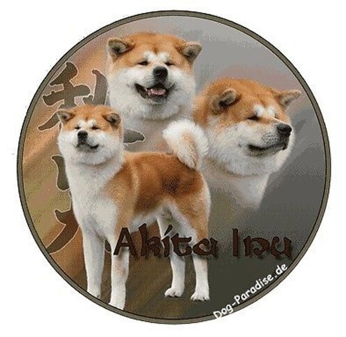 Design aufkleber motiv akita - aufkleber, 4
