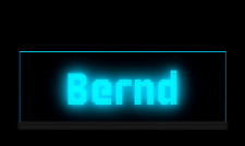 TRUCKER LKW Namensschild LED