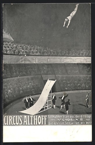 Circus althoff mr - ak, gadbin