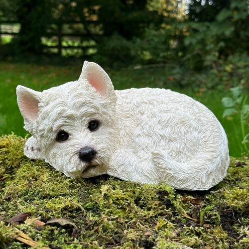 West highland terrier - west,