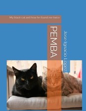Pemba My Black Cat and how He