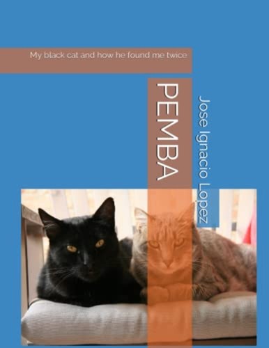 Pemba black cat - cat, he