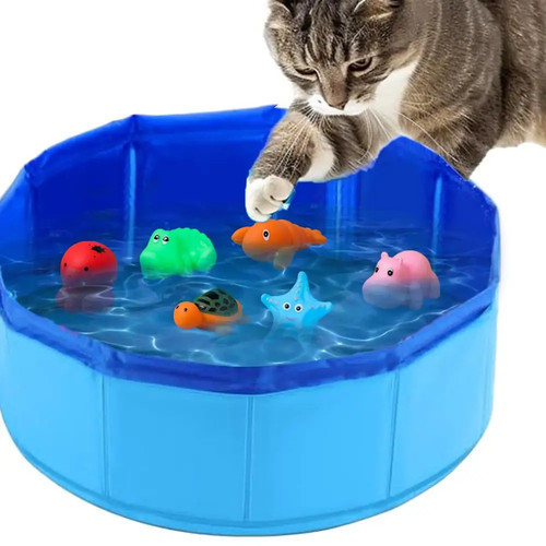 Hundepool bad schwimmbad - hundepool,