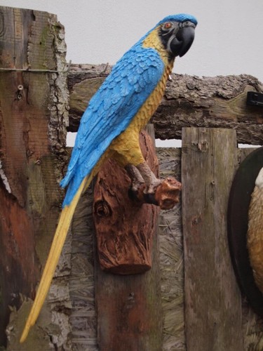 Papagei deko figur ara blau - papagei,