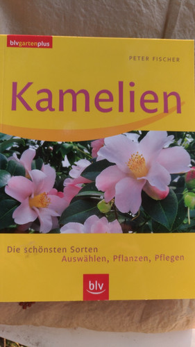 Kamelien die schönsten - schönsten, sorten