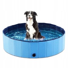 Hundepool Hunde Swimmingpool