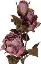 Clayre eef 5pl0241pa - &,