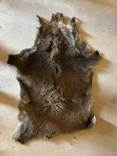 Verschiedene Tierfelle