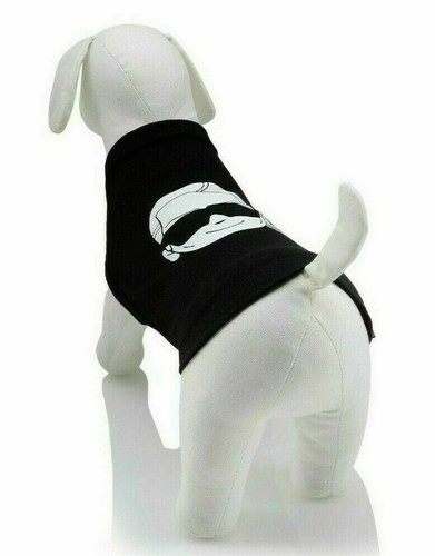 Karl lagerfeld haustiere - lagerfeld,