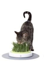 CATIT DESIGN SENSES GRASS