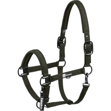 Eskadron Deep Green P2 Halfter Sparkle Double Pin Dynamic 2025 Stallhalfter