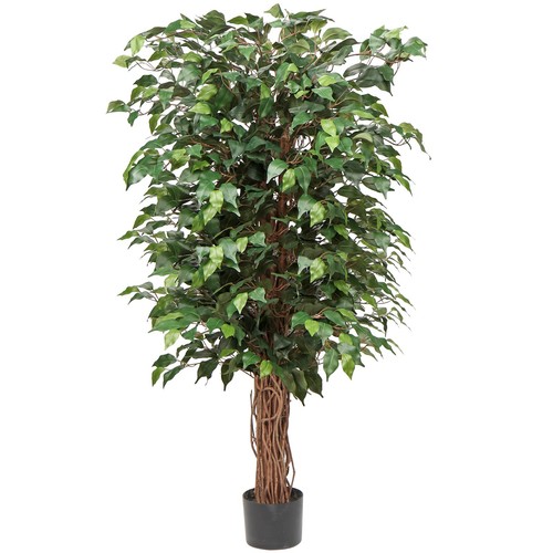 Ficus benjamini kunstpflanze - ficus,