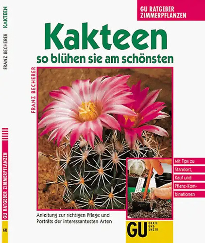 Kakteen blühen sie am - kakteen,